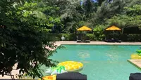 星野リゾート 西表島ホテルの写真・動画_image_540058