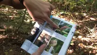 星野リゾート 西表島ホテルの写真・動画_image_540075