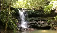 星野リゾート 西表島ホテルの写真・動画_image_540083