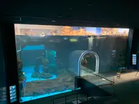 下関市立しものせき水族館・海響館の写真・動画_image_540309
