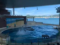 下関市立しものせき水族館・海響館の写真・動画_image_540310