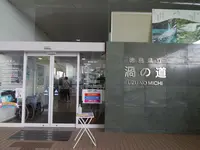 大鳴門橋遊歩道 渦の道の写真・動画_image_540431
