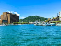 ひょうたん島クルーズの写真・動画_image_540510