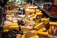 Say Cheeseの写真・動画_image_540709