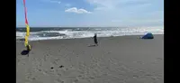 辻堂海水浴場の写真・動画_image_540723