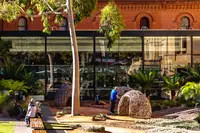 South Australian Museumの写真・動画_image_540818