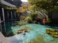大塚国際美術館の写真・動画_image_540860