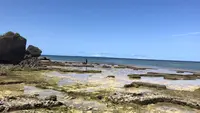 星野リゾート バンタカフェの写真・動画_image_541137