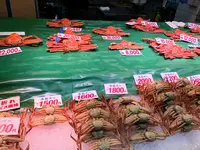近江町市場の写真・動画_image_541670