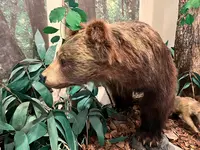 支笏湖ビジターセンターの写真・動画_image_541930