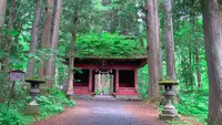 戸隠神社奥社の写真・動画_image_542231