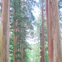 戸隠神社九頭龍社の写真・動画_image_542238
