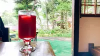 戸隠神社九頭龍社の写真・動画_image_542241