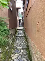 いがわこみちの写真・動画_image_542292