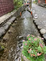 やなか水のこみちの写真・動画_image_542303