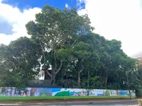 タモンの写真・動画_image_542444