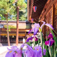 諏訪大社下社春宮の写真・動画_image_542581