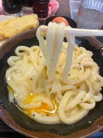 手打十段うどん バカ一代の写真・動画_image_542693