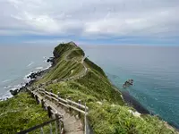 神威岬の写真・動画_image_543047