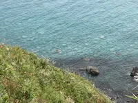 神威岬の写真・動画_image_543049
