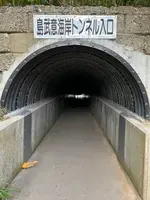 島武意海岸の写真・動画_image_543050