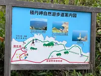 島武意海岸の写真・動画_image_543052