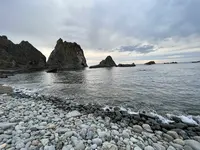 島武意海岸の写真・動画_image_543054