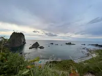 島武意海岸の写真・動画_image_543057