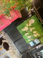 きんぱぎんぱの写真・動画_image_543114