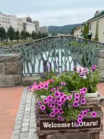 小樽運河の写真・動画_image_543136