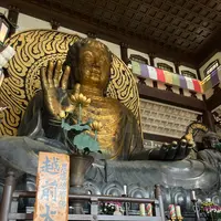 大師山清大寺・越前大仏の写真・動画_image_543245