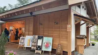月の貌の写真・動画_image_543475