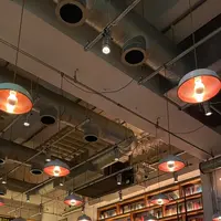 リグニスの写真・動画_image_543663