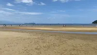 父母ヶ浜海岸の写真・動画_image_544388