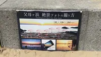 父母ヶ浜海岸の写真・動画_image_544389