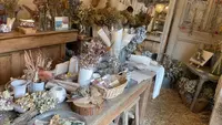 Seasonal Stand（シーズナルスタンド）の写真・動画_image_544410