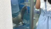 四国水族館の写真・動画_image_544434