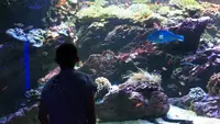 四国水族館の写真・動画_image_544440
