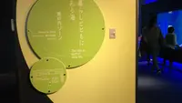 四国水族館の写真・動画_image_544453