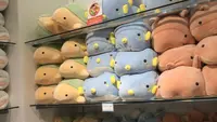 四国水族館の写真・動画_image_544454