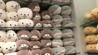 四国水族館の写真・動画_image_544459