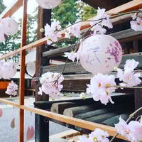 熊野大社の写真・動画_image_544537