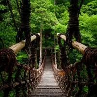 祖谷渓の小便小僧の写真・動画_image_544645