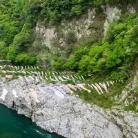 祖谷渓の小便小僧の写真・動画_image_544646