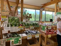 道の駅 しなのの写真・動画_image_547372