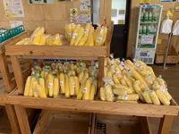 道の駅 しなのの写真・動画_image_547377