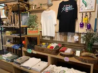 LAMP野尻湖の写真・動画_image_547379