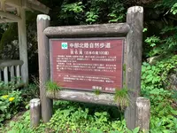 苗名滝の写真・動画_image_547403