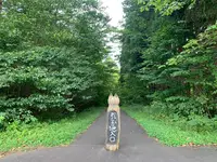 信州信濃町 癒しの森の写真・動画_image_547419