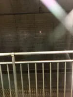 美佐島駅の写真・動画_image_547618